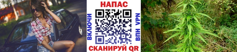 Шишки марихуана индика  купить   Камешково 